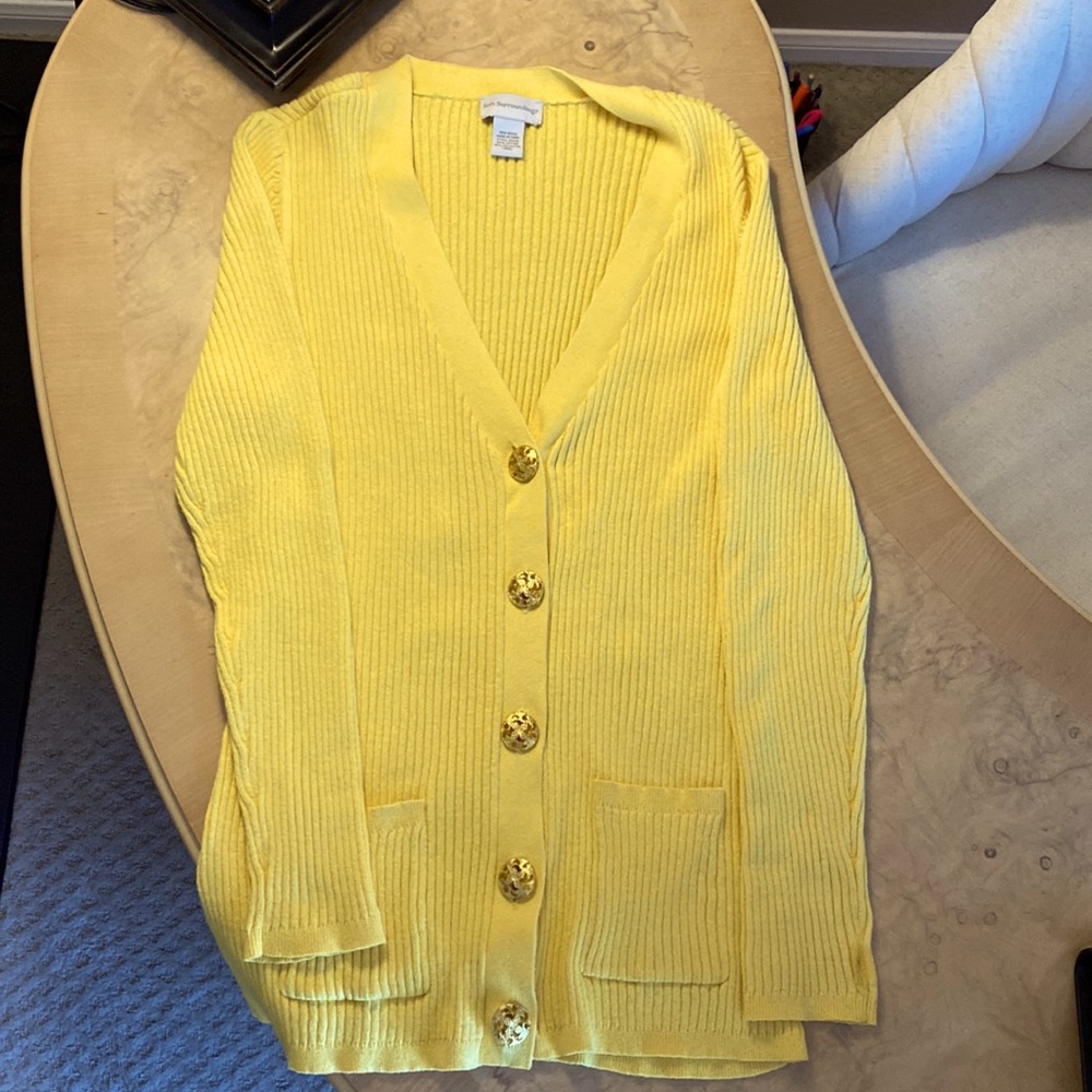 DONATED.  Soft surroundings, long sleeve, V-neck sweater, size large